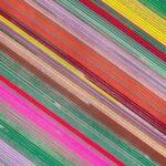 Keukenhof lale bahcesi hollanda