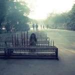 TIAN TAN GIANT BUDA 3