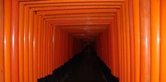 Fushimi Inari Tapınağı