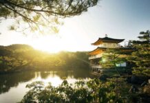 JAPONYA’YA NE ZAMAN GİDİLİR?