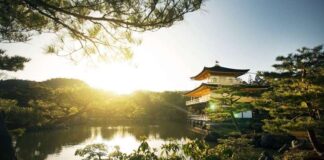 JAPONYA’YA NE ZAMAN GİDİLİR?