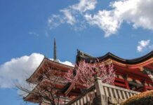 KYOTO GEZİLECEK YERLER – 2025 Güncel Tüm Bilgiler