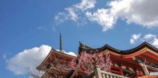 KYOTO GEZİLECEK YERLER – 2025 Güncel Tüm Bilgiler