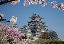 OSAKA GEZİLECEK YERLER: En Güzel 9 Yer