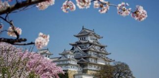 OSAKA GEZİLECEK YERLER: En Güzel 9 Yer