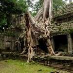 siam reap kamboçya5