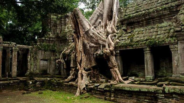 siam reap kamboçya5