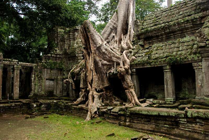 siam reap kamboçya5