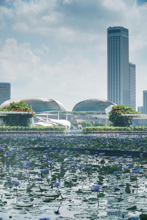 singapore esplanade kultur ve sanat muzesi