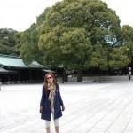 tokyo meiji tapinagi