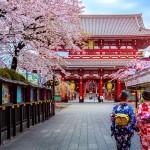 tokyo sensoji tapinagi