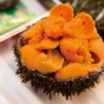 uni-kestane osaka