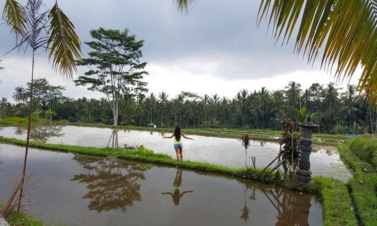 ubud gezilecek yerler4