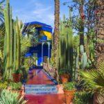 Majorelle bahcesi marakes