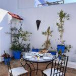 safsavan nerede kalinir