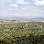 afrika buyuk rift vadisi