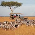 kurban-bayramı-afrika-safari-turu