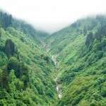karadeniz turu yayla turuDSC_3876