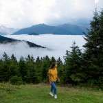 pokut yaylası rize