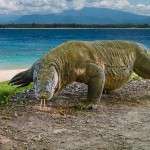 bali adası turu komodo adası turu