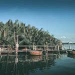 Hoi An Vietnam’d Ne Yapılır 5