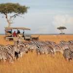 kurban bayramı afrika safari turu