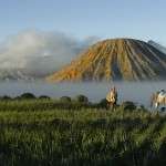 bromo yanardagi endonezya