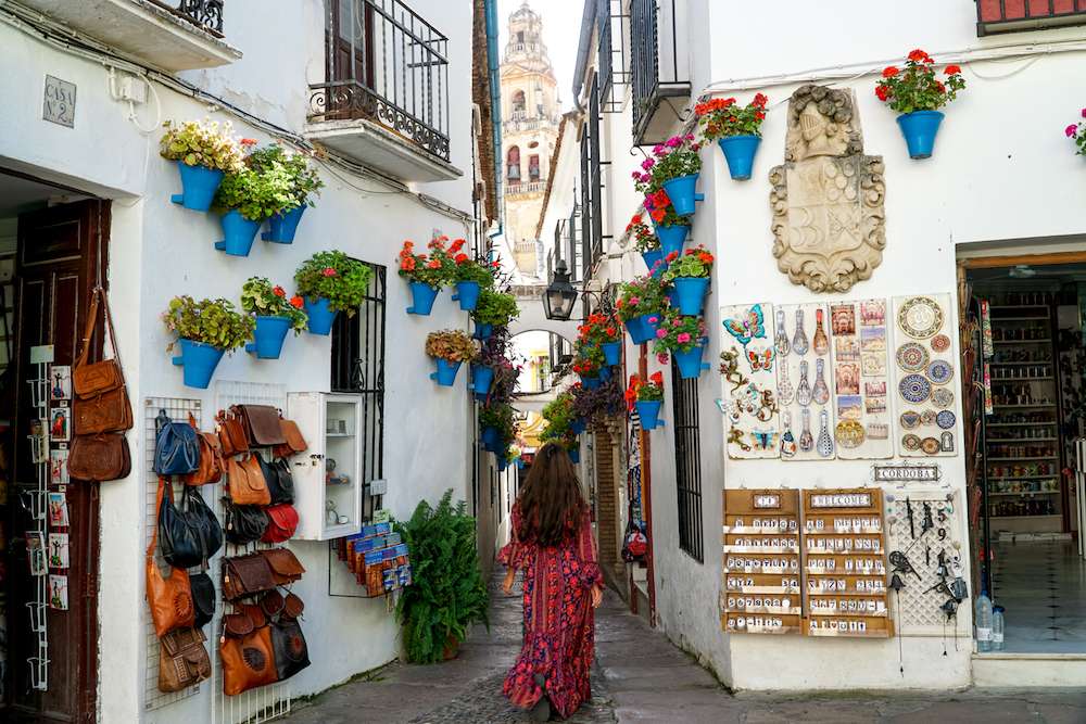 Calleja de la Flores