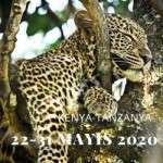 afrika safari turu