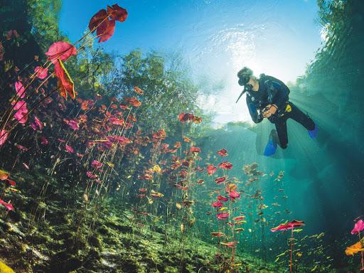 Meksika cenote carwash