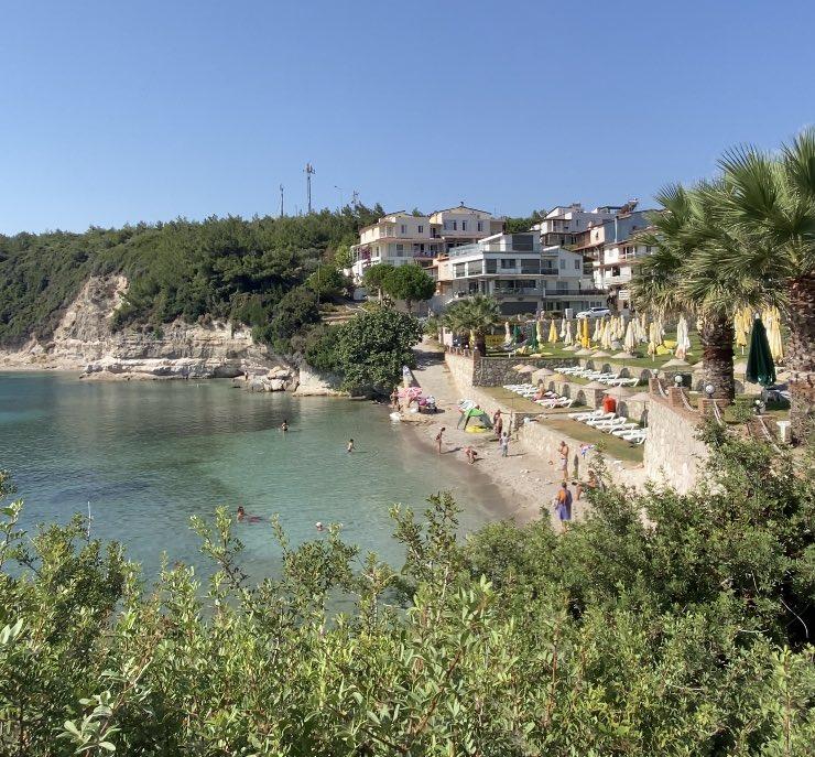 ayı balığı koyu karaburun