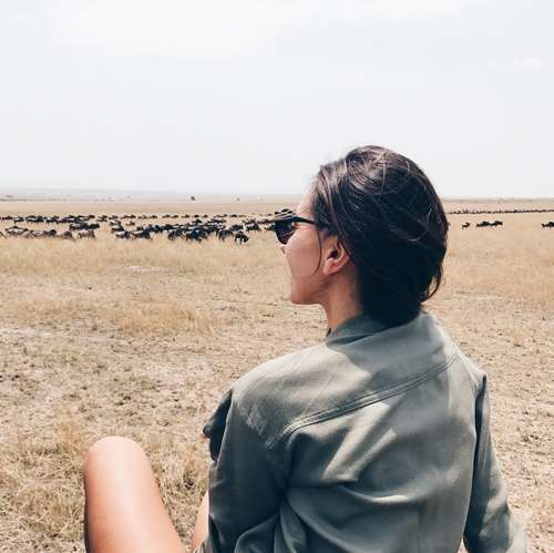 Great Migration Safari in Africa