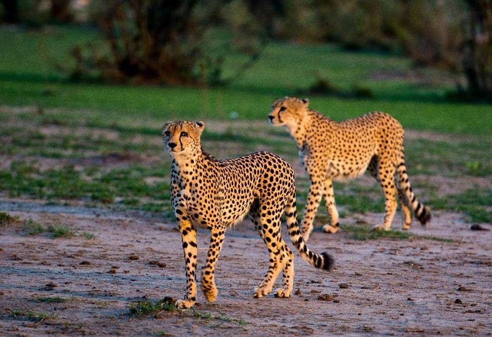 masai mara national park