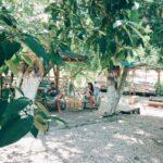 Olimpos Alaturka Pansiyon