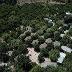 Olimpos Alaturka Pansiyon