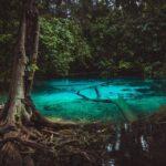 emerald pool krabi