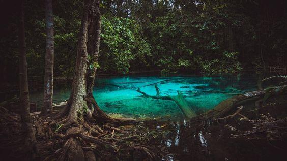 emerald pool krabi