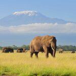 amboseli park