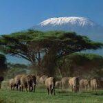 amboseli ulusal parki