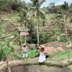 Tegallalang rice terrace