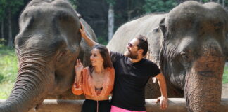 KHAO SOK MİLLİ PARKI GEZİLECEK YERLER khao sok gezilecek yerler