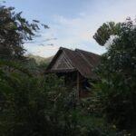 khao sok nerede kalinir