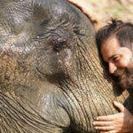 elephant bathing