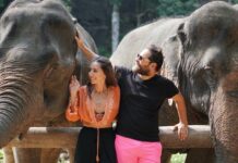 Tayland Turu-2026 Grup Turu Tayland turu