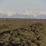 izlanda lav tarlasi Eldhraun