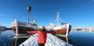 İZLANDA GEZİLECEK YERLER